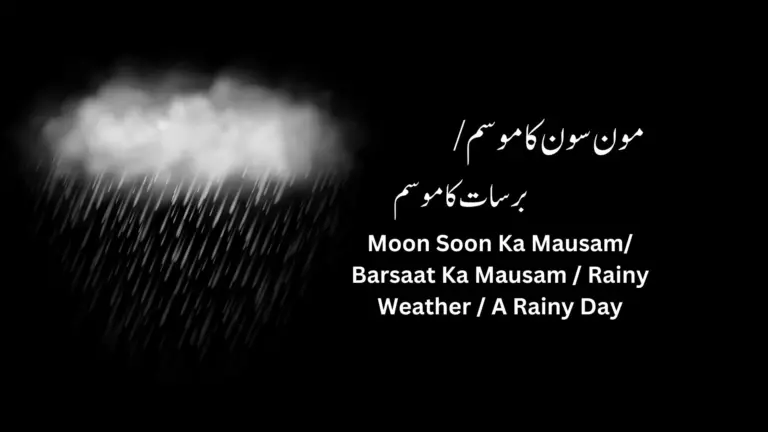 A Rainy Day     برسات کا موسم | مون سون کا موسم