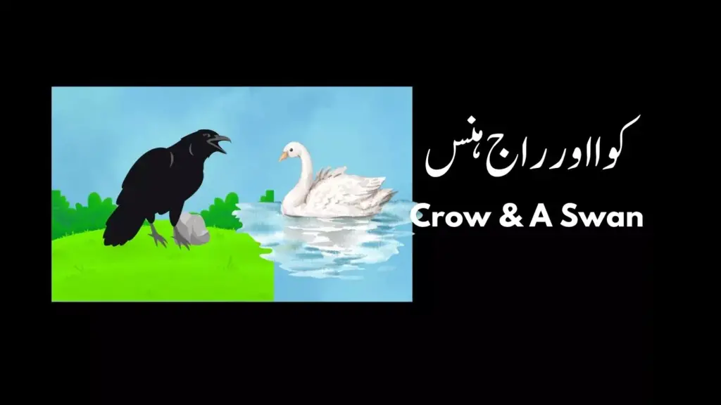 urdu stories kawa or raj hans crow and swan story