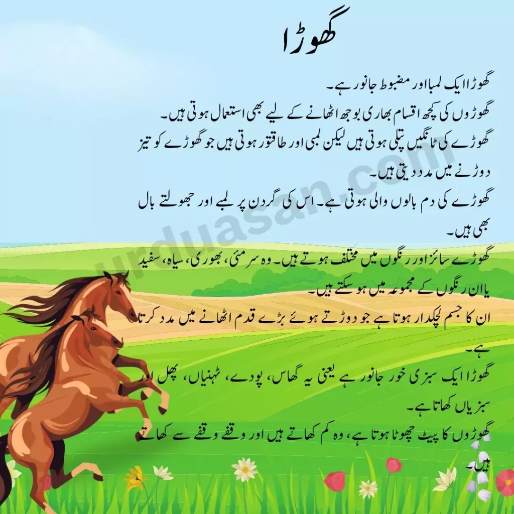 horse creative writing on horse urdu creative writing ghora horse