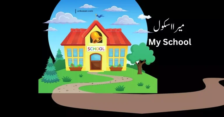 My School  میرا اسکول