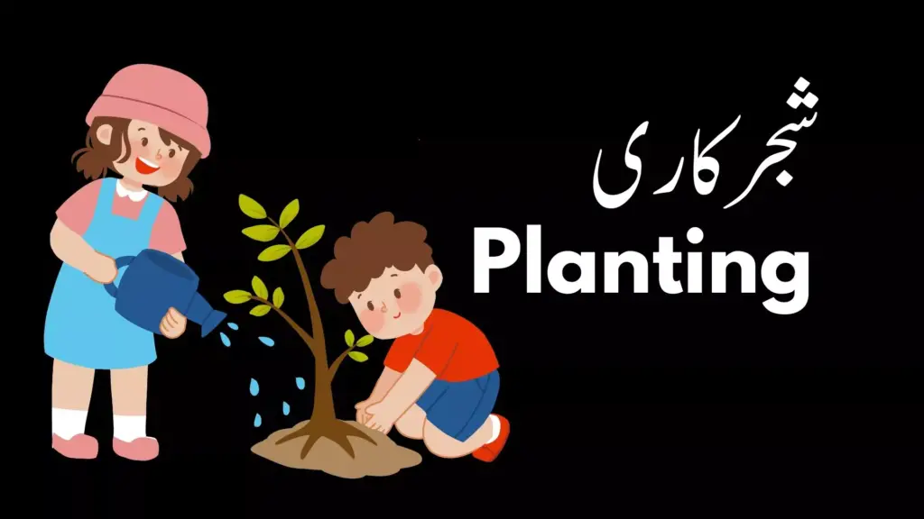 shajar kari planting essay on planting urdu essay