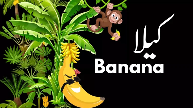 Banana | کیلا