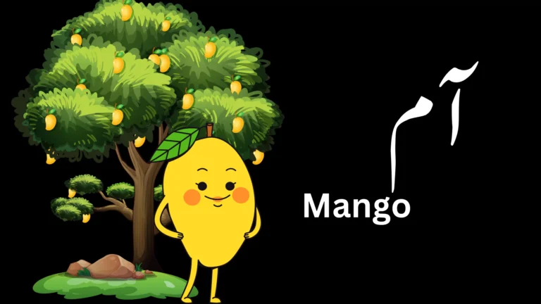 Mango | آم   AAM