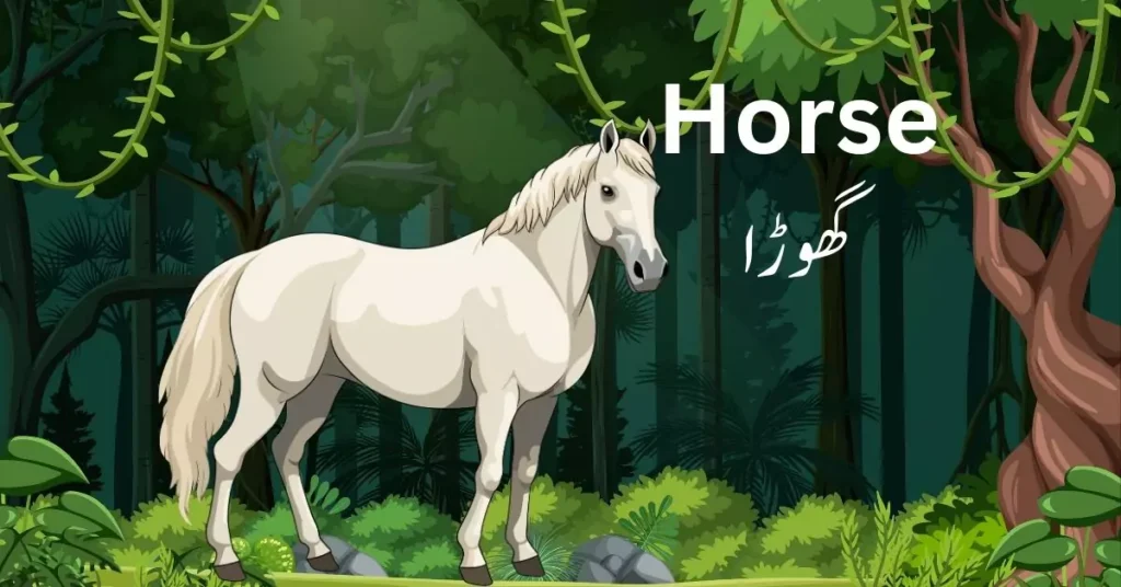 horse cartoon horse creative writing on horse urdu sentences