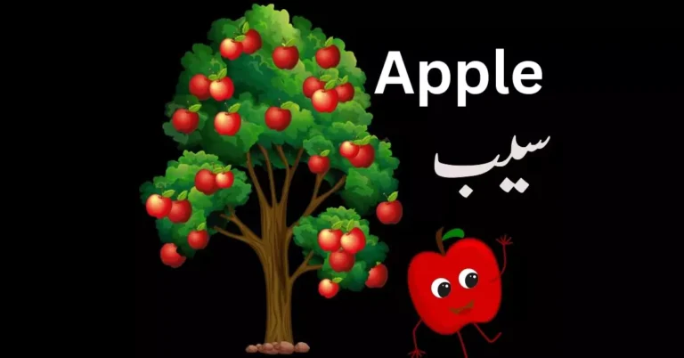 Apple سیب