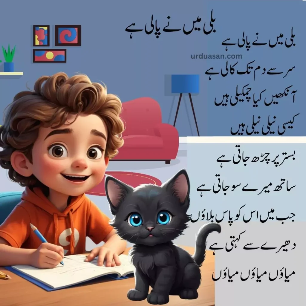 billi main nay pali hay poem urdu poem cat poem urdu asan urduasan asanurdu urdu poems nursery rhymes kids poems black cat