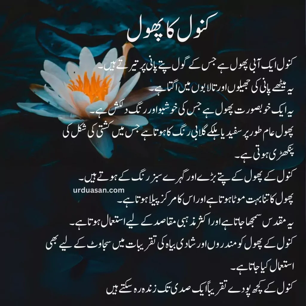 kanwal ka phool urdu creative writing creative writing on lotus urdu asan urduasan asanurdu essay on kanwal ka phool essay on lotus