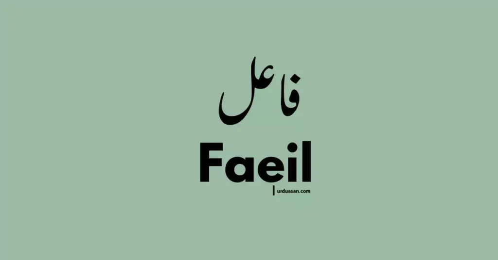 Faeil فاعل urdu grammar