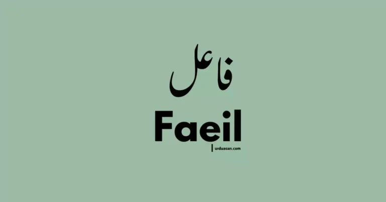 Faeil   فاعل