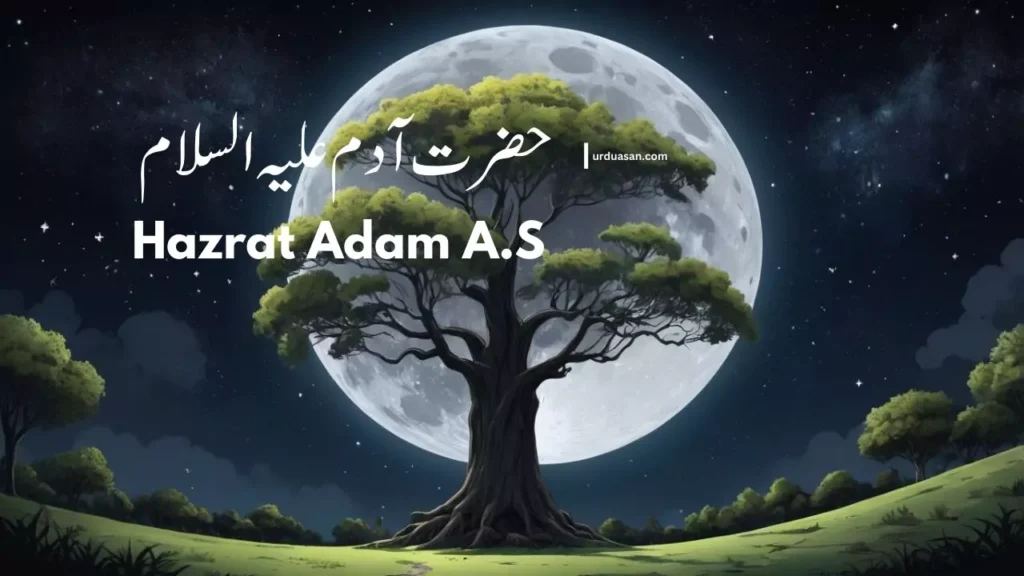 Hazrat Adam (A.S) حضرت آدم علیہ السلام qissa of hazrat adam hazrat adam or ama hawa prophet stories