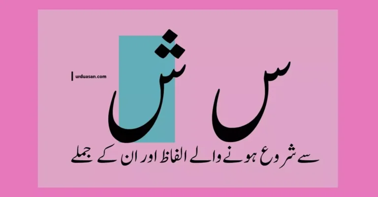 Urdu Words Starting With س،ش & Their Sentences , س،ش سے شروع ہونے والے الفاظ اور ان کے جملے